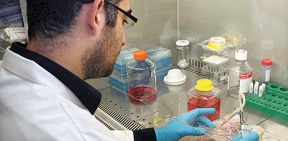 מעבדה, בריאות, ביוטכנולוגיה, תאי גזע / צלם: רויטרס
